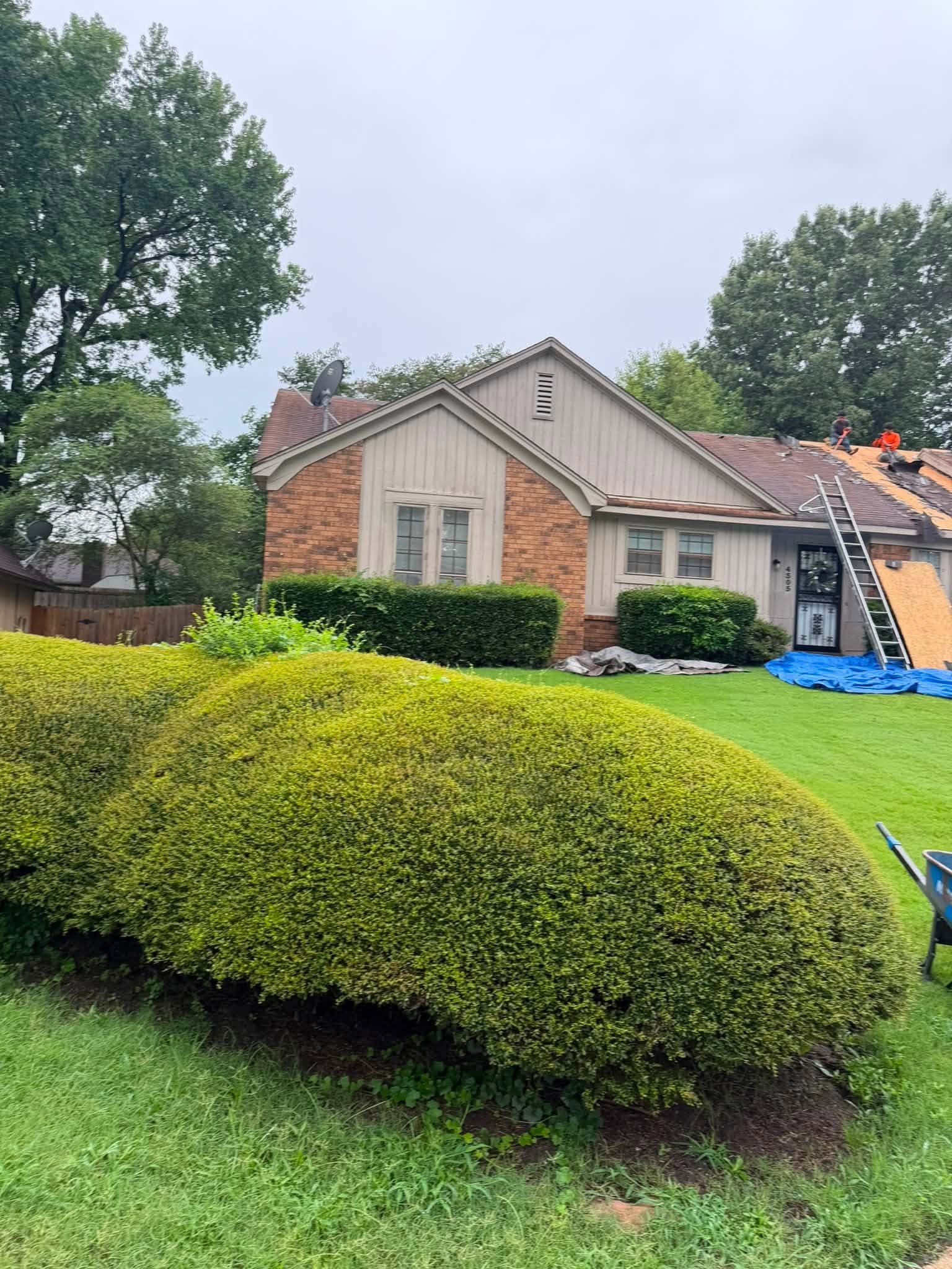 Tear-off in progress on a Memphis ranch home with debris contained on tarps